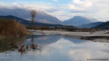 Dams could block key fish migration routes in Albania's Vjosa River