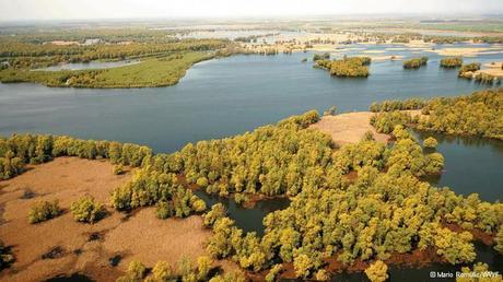  Conservationists fear for wildlife in Croatia's Kopački Rit wetlands