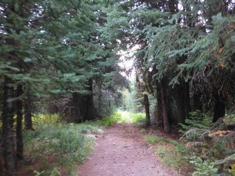 Day 128: Stickin' To The Trail