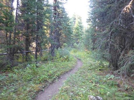 Day 126: Bob Fire Reroute, Day Two