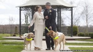 _73756675_guide_dog_wedding