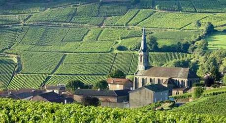 Published: The Good Life France – Burgundy Wine Region