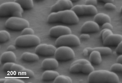 The silver nanoparticles are irregularly shaped and randomly distributed over the surface, as shown by the scanning electron microscope image