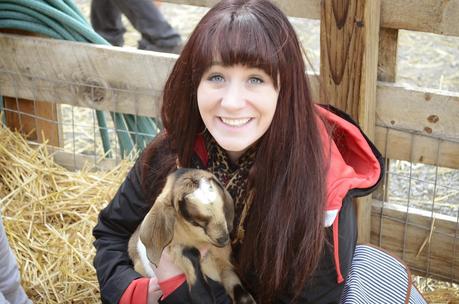 Cute, Furry, Tiny BABY ANIMALS!