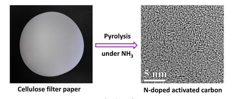 Scientists Use Trees to Make High-Tech Supercapacitors