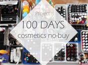 Days No-Buy Update (Day Have Failed