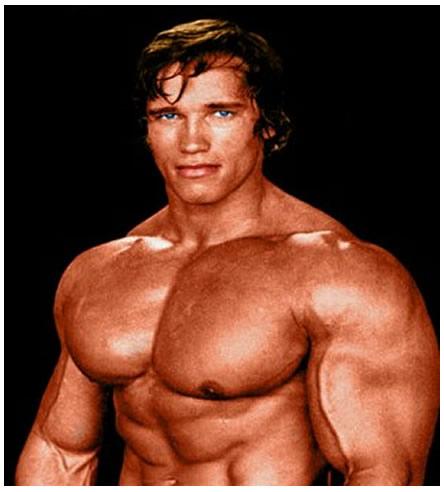 Arnold Schwarzenegger