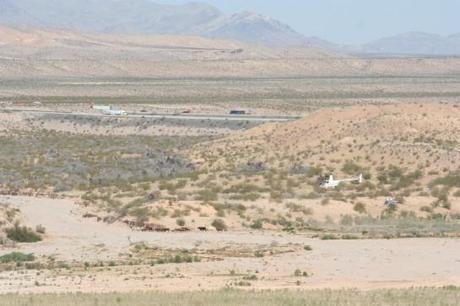 200+ armed feds declare war on Nevada rancher over desert tortoise