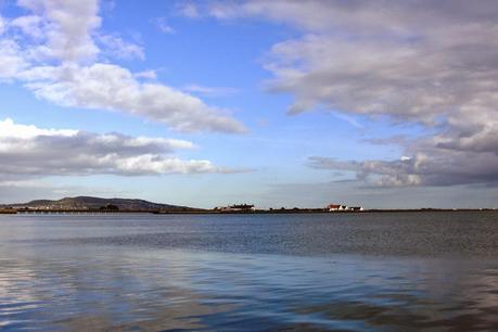 Bull Island and Dollymount Strand