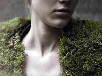 moss-collar