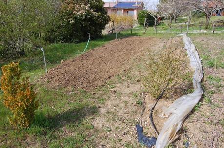 Seeking Happinesss: The Joy of Gardening