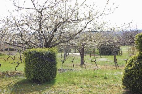 Seeking Happinesss: The Joy of Gardening