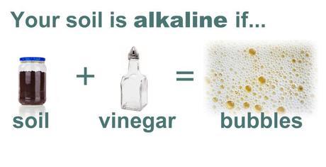 Chemistry, Physics & Math in the Garden - Part One | LazyHippieMama.com