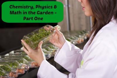 Chemistry, Physics & Math in the Garden - Part One | LazyHippieMama.com