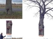 Hovering Tree Illusion Daniel Siering Mario