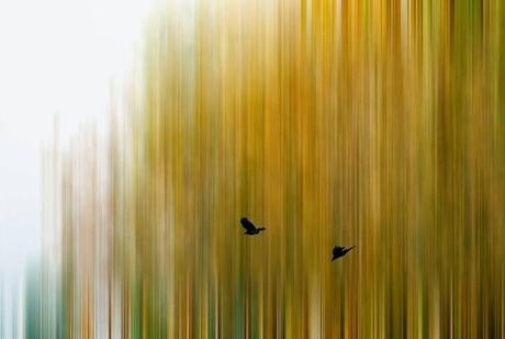 enjoy | happy weekend