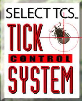 ticks