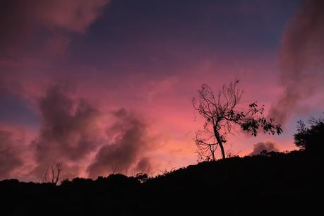 pink sunset sky above blanket bay