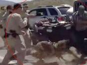 Victory! Feds Back from Nevada Rancher