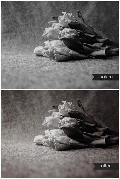 Vintage Black and White Photo Effect with Photo Veils - Photo recipe