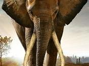 March Elephants Saving Elephant From Extinction