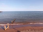 Seaside Saturdays....