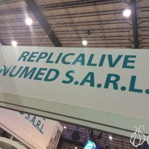 Food_Copies_Replicalive_Lebanon11