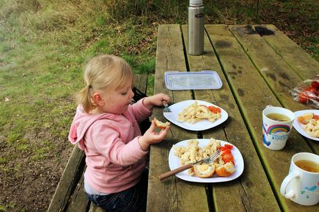 Picnic at Knettleshall Heath and thoughts on YouTube...