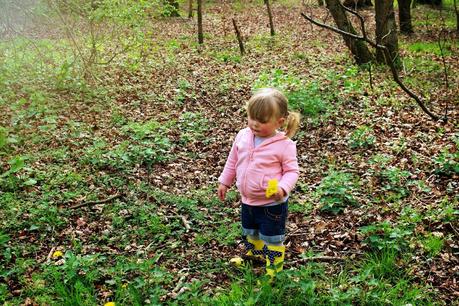 Picnic at Knettleshall Heath and thoughts on YouTube...