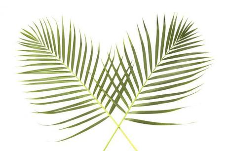 Palm Sunday