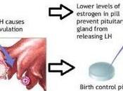 Women Took Birth Control Pills More Than Years Double Risk Glaucoma