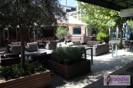 So excited a Missy Moos close to home! Missy-Moos-9