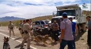 Bundy Battle: 1st Salvo Of Revolution