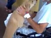 Waits Days Parking Hospitalized Owner