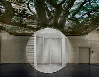 see | art installation + photography