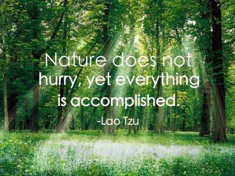 Composting 101 Composting 101