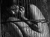 Consumers: Refuse Purchase Captive Birds