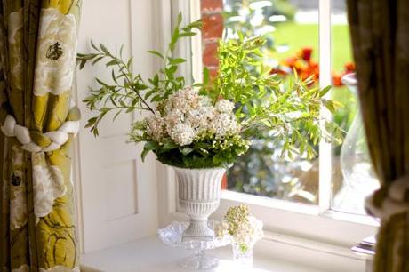 Viburnum Carlesii