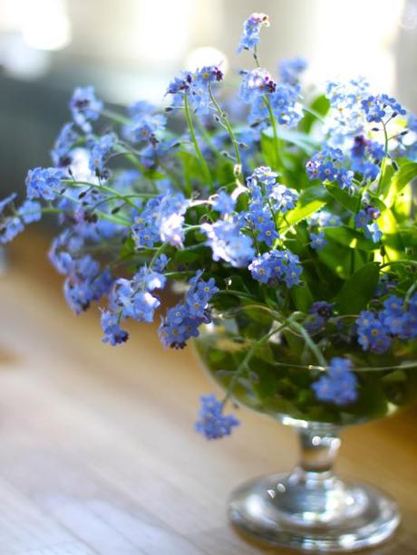 Forget-Me-Nots