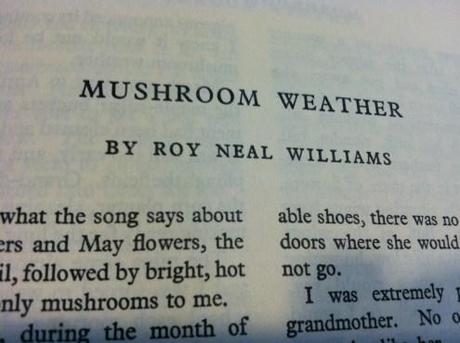 Mushroom Weather 2