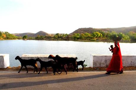 Zara Dress - Udaipur Road Trip .