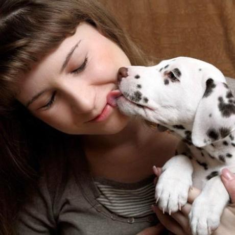 Be the Change: Speak Out WhyDog_179109360