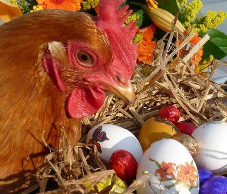 The World’s Top 10 Best Images of Animals With Easter Eggs