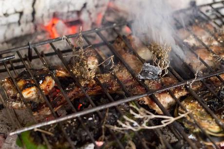 rabbit-and-vegetables-BBQ,-barbacoa-de-conejo-y-verduras,-Monsabor