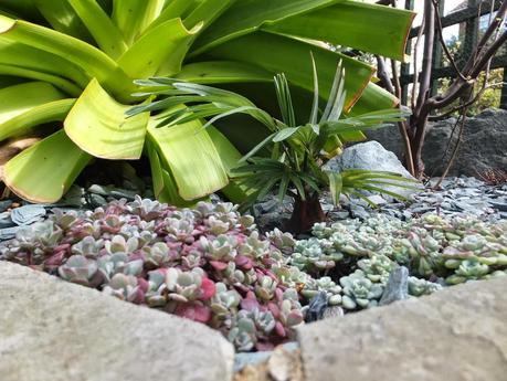 Foliage Follow-Up April 2014