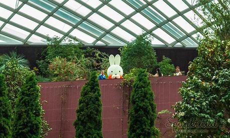 Tulip Planting & Miffy @ Tulipmania 2014