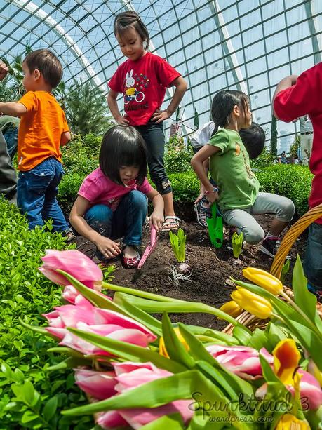 Tulip Planting & Miffy @ Tulipmania 2014