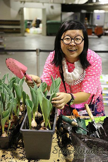 Tulip Planting & Miffy @ Tulipmania 2014