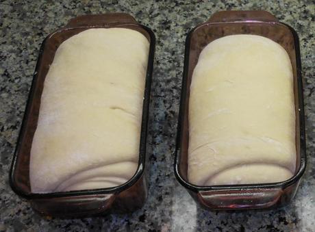 Look at those beautiful, puffy loaves!  And that's after only 20 minutes!