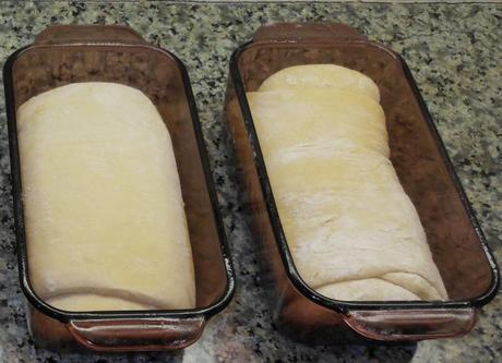 This bread is usually ready to go in the oven 30 minutes after I put it in the pan.  When it's about an inch over the top of the pan, I pop it in the oven.  These aren't lookin' too hot.  It had been 90 minutes, and they were not rising as I'd like them to be.